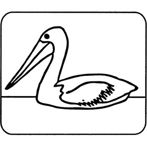 Pittwater Golf Course logo: A black outline drawing of a pelican in profile facing left, with a long hooked bill, a dot eye and a hatched wing, floating on a straight horizontal waterline, all inside a rounded square black border.