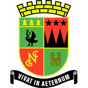 Nedlands Golf Club logo: A yellow-bordered quartered shield beneath a yellow castellated crown of masonry blocks, its green upper-left quarter carrying three yellow stars above a black long-necked bird with a tufted crest and one jagged wing raised, its red upper-right quarter three black stars above three black peaks, its red lower-left quarter a yellow interlocking N, G and C monogram and its green lower-right quarter a gold castellated letter H, all above a black ribbon banner lettered VIVAT IN AETERNUM in white.