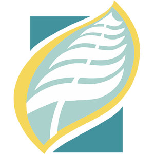 Ballina Golf & Sports Club logo: A large upright leaf outlined in gold-yellow, its interior filled with white and pale sage-green herringbone veins around a white midrib and stem, set diagonally across a dark teal square that shows at the upper-left and lower-right corners.