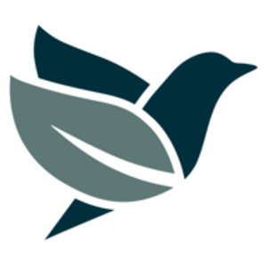 Noosa Golf Club logo: A stylised bird in flight built from a dark navy head with a pointed beak, an upswept navy wing and a forked navy tail, with a sage-green leaf bearing a white central vein forming its body.