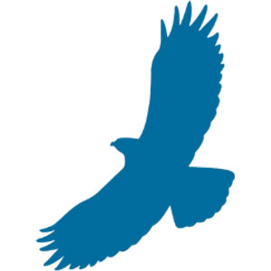 Eagle Ridge Golf Course logo: A solid blue silhouette of an eagle in flight seen from above, wings spread with splayed feather tips and the body angled diagonally across the frame.