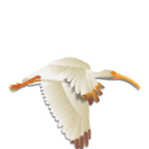 The Club at Ibis logo