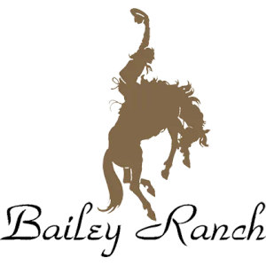Bailey Ranch Golf Club logo