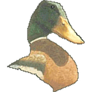 Mallard Head Country Club logo