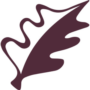 The International logo