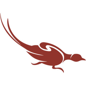 Pheasant Run Golf Club logo: A brick-red pheasant drawn in flowing silhouette strokes, head low and facing right in a running pose, with two long tail feathers sweeping far up and to the left behind it.