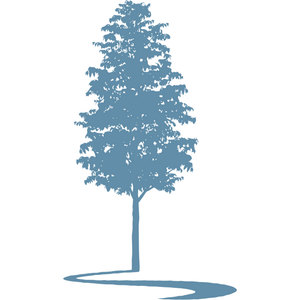 The Falls logo: A single tall slender tree in muted slate-blue silhouette with layered leafy foliage tapering to a point, standing on a curving S-shaped river swoosh of the same colour, with no lettering.