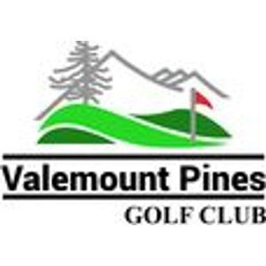 Valemount Pines Golf Course logo: Grey outlined mountain peaks behind two dark pine trees over layered bright green rolling hills, with a red flag on a thin flagstick at right, above a black bar reading 'Valemount Pines' and 'GOLF CLUB' in capitals beneath.