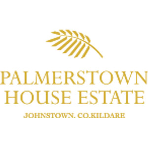 Palmerstown House Estate Golf Club logo: A single gold palm frond with paired leaflets curving up to the left, above gold serif capitals reading 'PALMERSTOWN HOUSE ESTATE' and smaller gold capitals reading 'JOHNSTOWN, CO. KILDARE', on a white background.