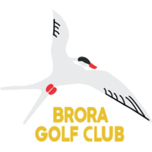 Brora Golf Club logo: A pale grey tern in flight with a black cap, a red bill and a tucked red leg, its outstretched wings edged with black line-art feathers, above the wordmark "BRORA GOLF CLUB" in yellow capitals.