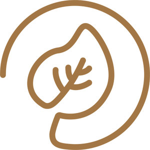 Akebar Park Golf Course logo: A brown line-art leaf with branching veins nested inside an open circular swirl, on a white background with no text.