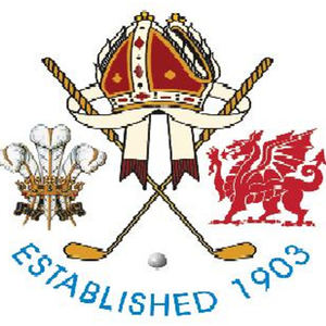 St Davids City Golf Club logo: A red and gold bishop's mitre with hanging lappets above two crossed golf clubs and a white golf ball, flanked by three white Prince of Wales feathers rising from a gold coronet on the left and a red Welsh dragon on the right, with 'ESTABLISHED 1903' arched beneath in blue script.